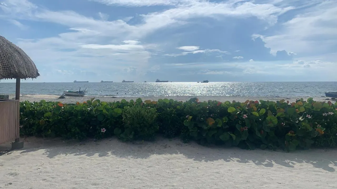 Apartamento Samaria Pozos Colorados 6 Personas 2Hb Santa Marta Santa Marta (Magdalena)